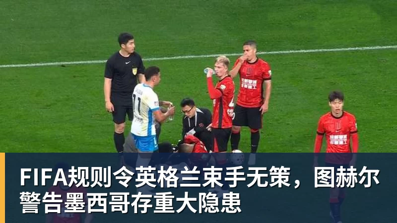 世体:世界杯18决赛西葡战,巴萨体育总监德科现场观战 - 华体会体育-华体会体育·(中国)官方网站